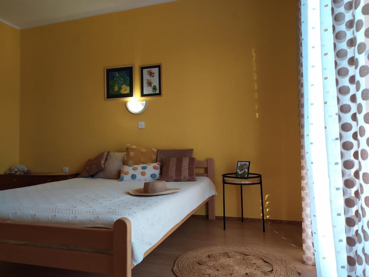 Cozy Apartments Danica Novalja With Terrace - First Floor Dış mekan fotoğraf