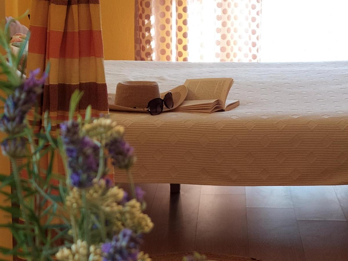 Cozy Apartments Danica Novalja With Terrace - First Floor Dış mekan fotoğraf