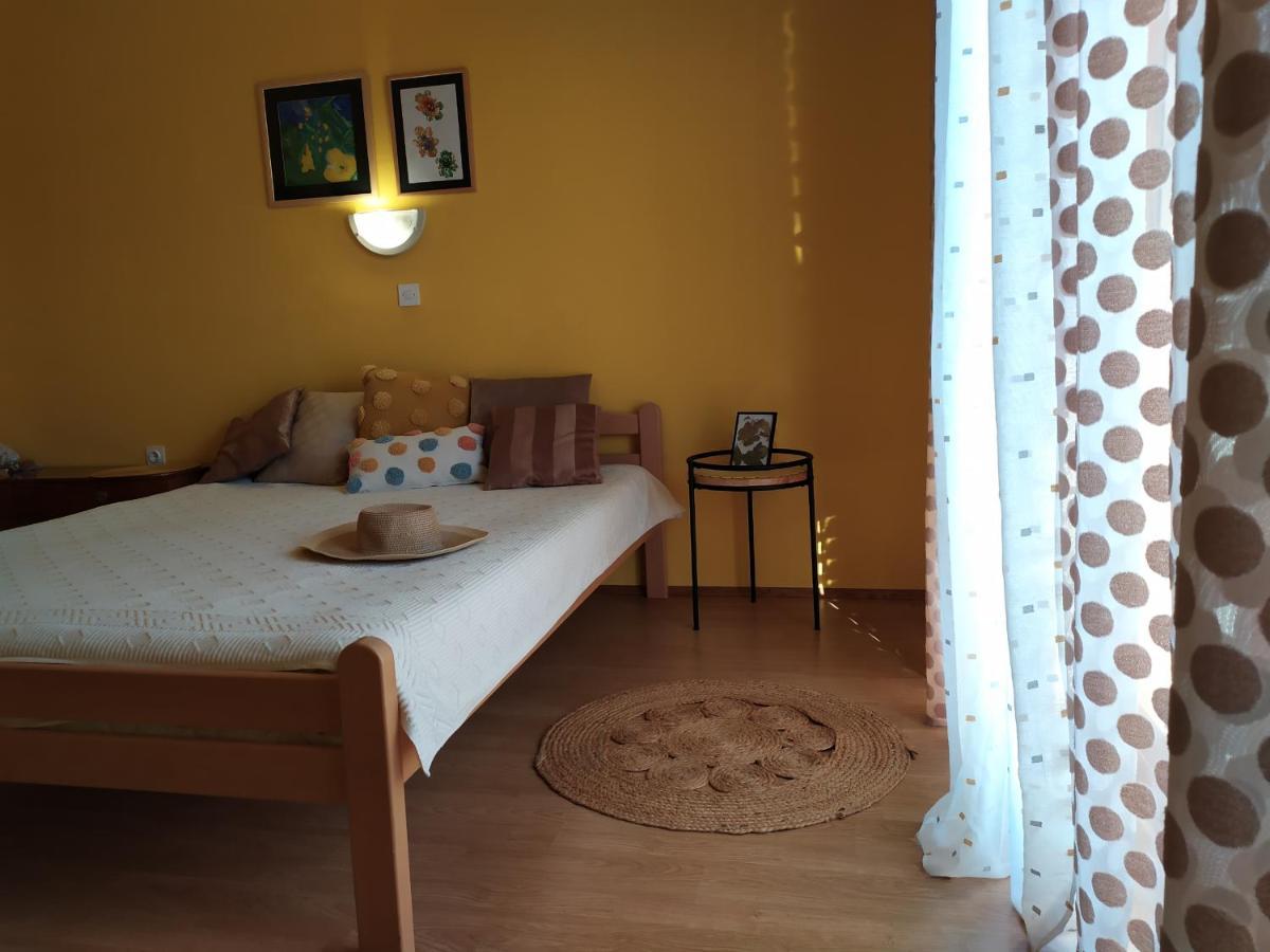 Cozy Apartments Danica Novalja With Terrace - First Floor Dış mekan fotoğraf