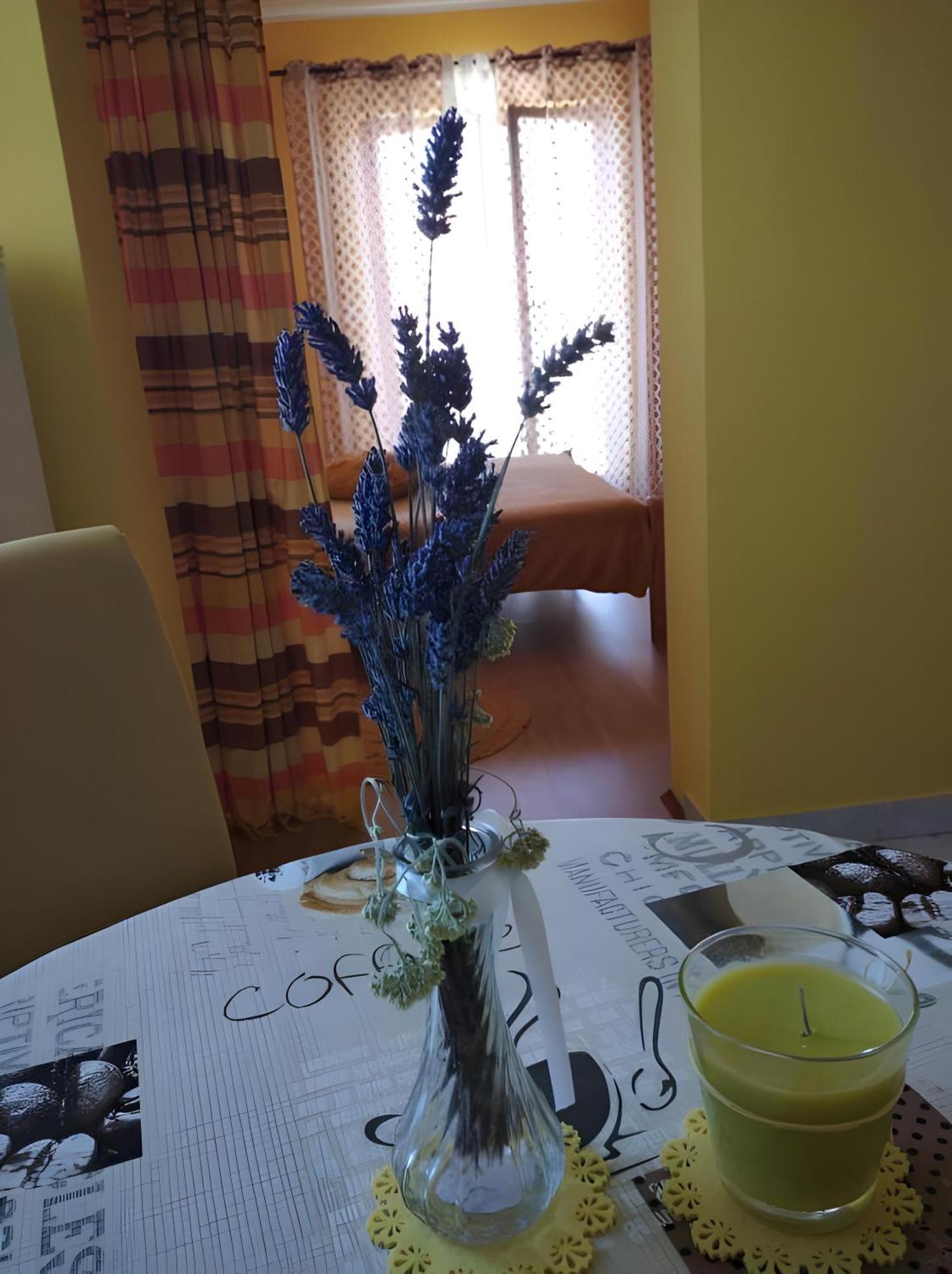 Cozy Apartments Danica Novalja With Terrace - First Floor Dış mekan fotoğraf